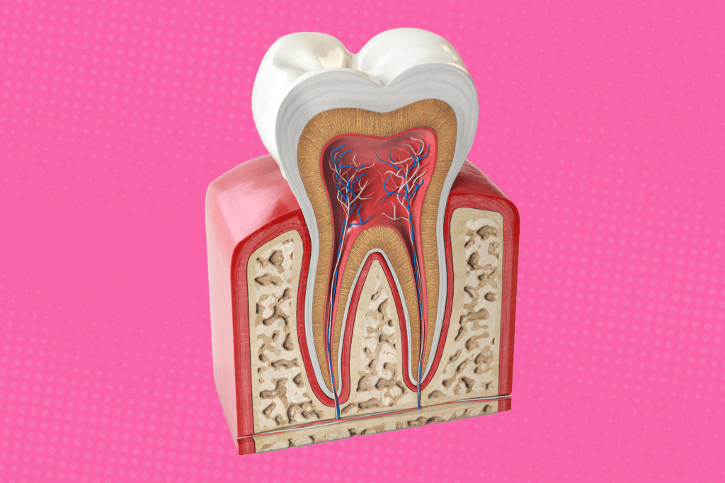 3D illustration of a root canal on a pink background to exemplify root canal hurts with pressure