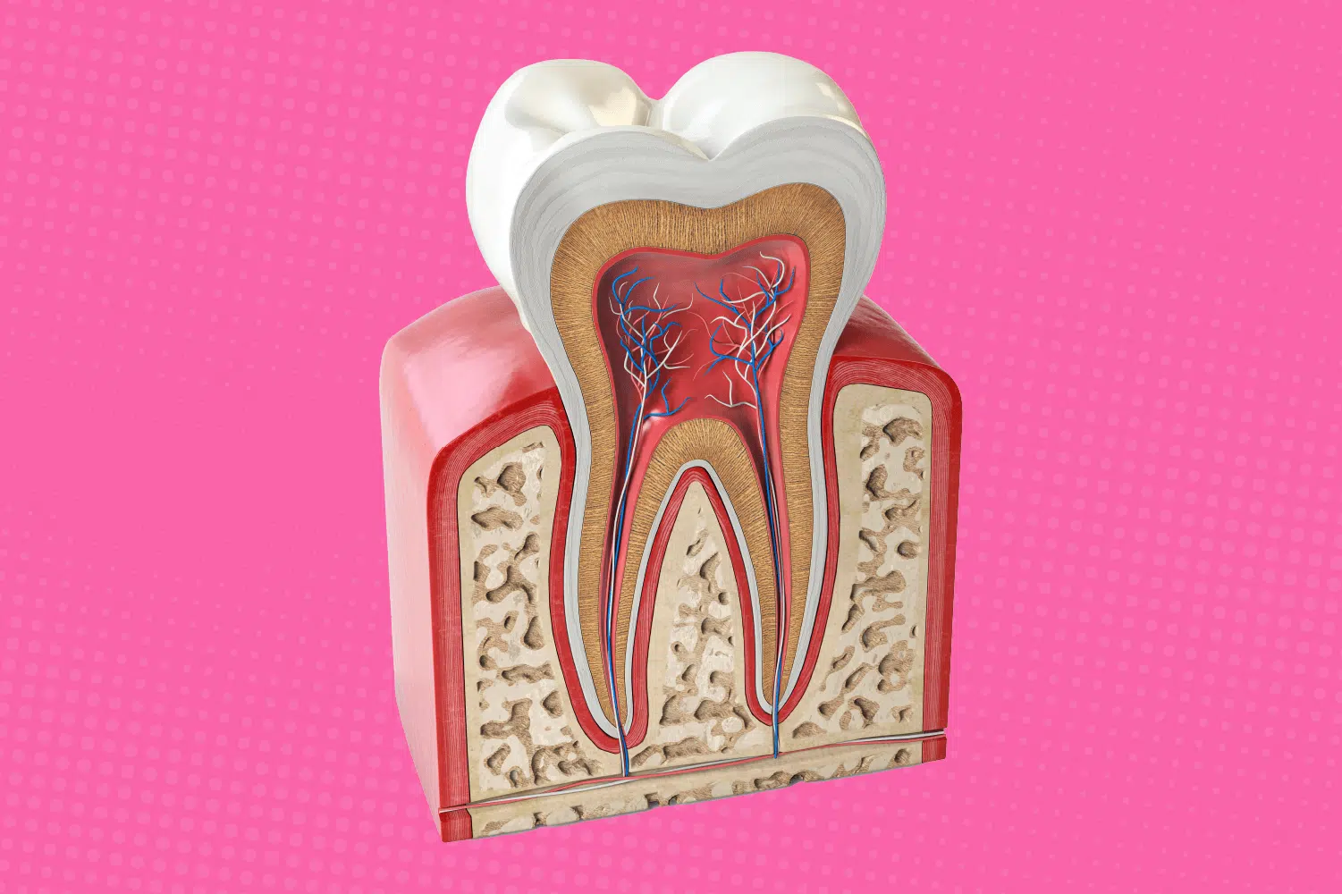 Root Canal Tooth Hurts With Pressure