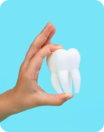 hand holding a big teeth